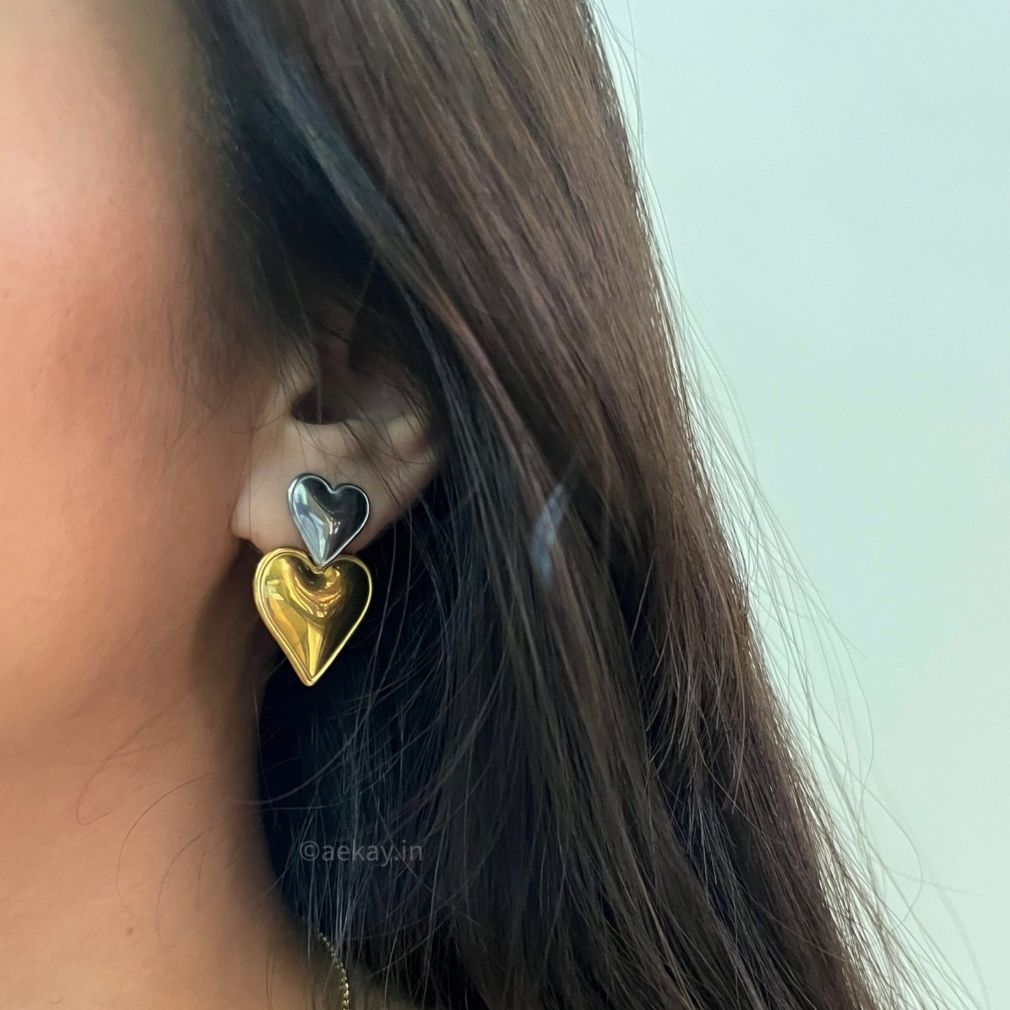 Double Heart Earrings
