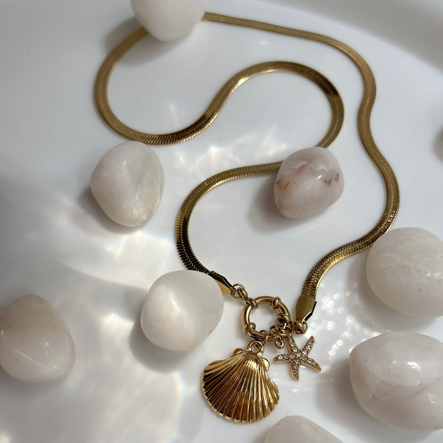 Sea Shell Charm Necklace