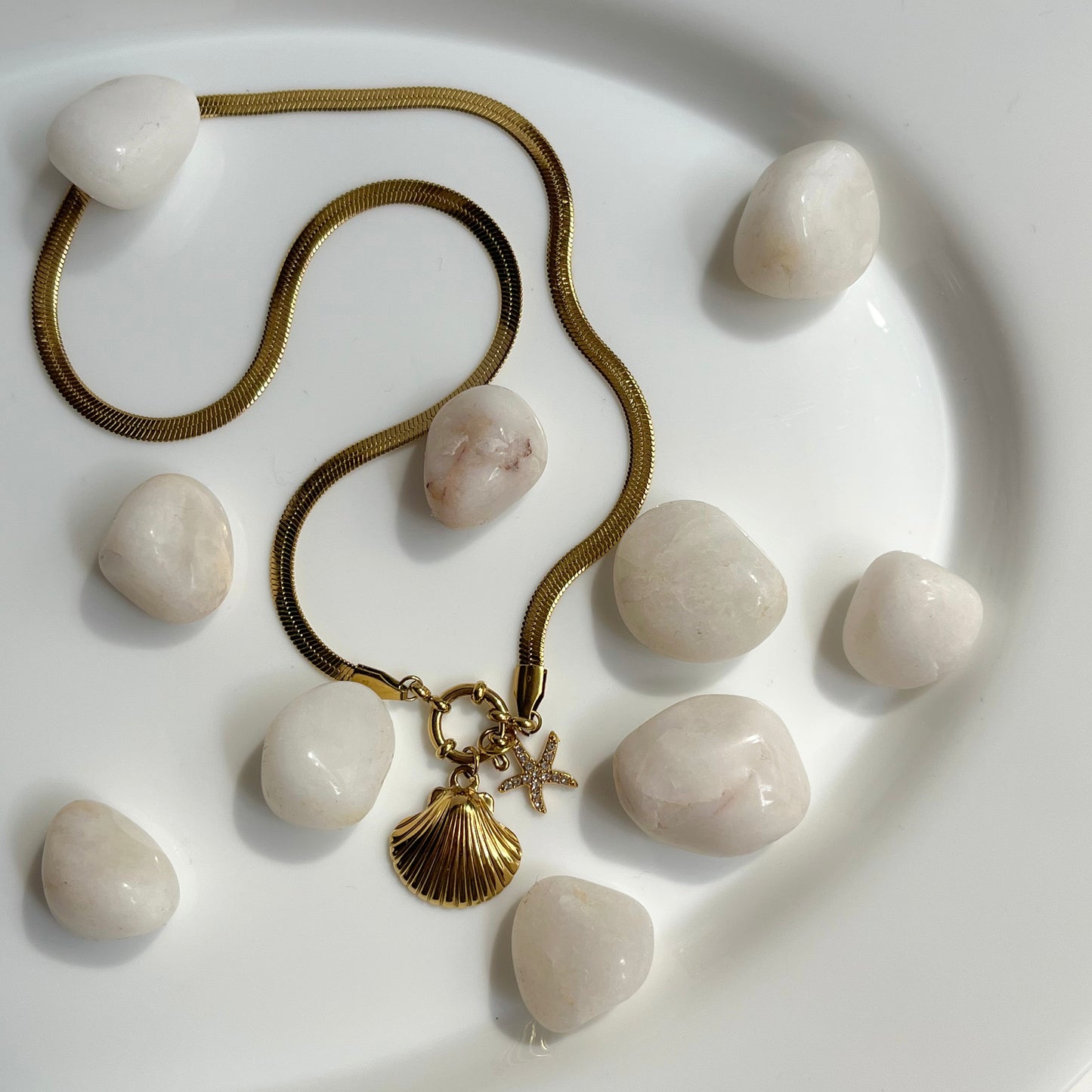 Sea Shell Charm Necklace